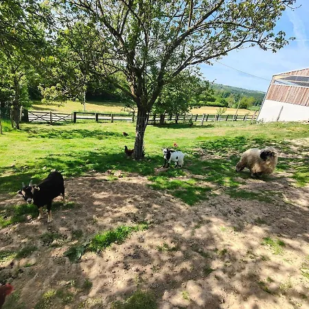 Tiny House Le Petit Nid Du Pré Chalet