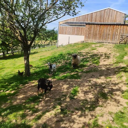 Chalet Tiny House Le Petit Nid Du Pré