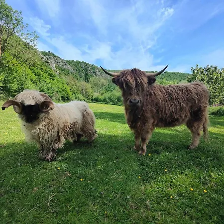 Tiny House Le Petit Nid Du Pré * Saint-Remy (Calvados)