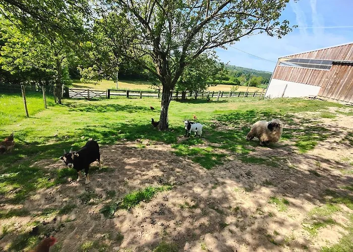 Tiny House Le Petit Nid Du Pre Chalet