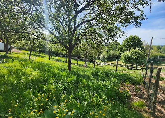 Tiny House Le Petit Nid Du Pre * Saint-Remy (Calvados)