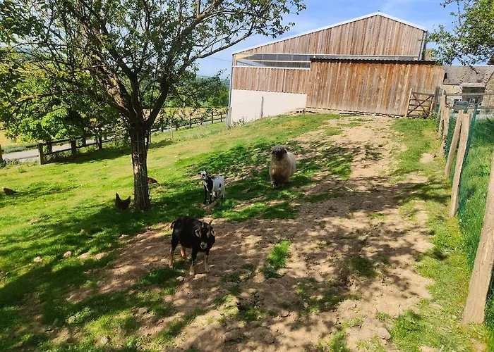 Chalet Tiny House Le Petit Nid Du Pre