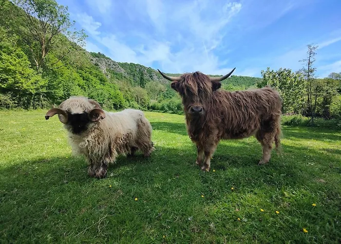Tiny House Le Petit Nid Du Pre * Saint-Remy (Calvados)